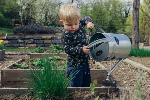 a little boy watering flowers to represent gardening with children