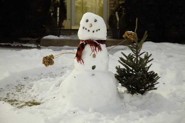 A snowman next to a small tree