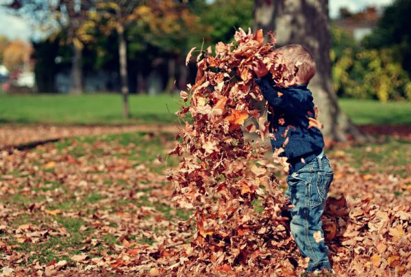 A little boy throwing a pile of leaves in the air outside