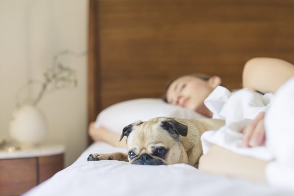 A woman sleeping with a dog next to her