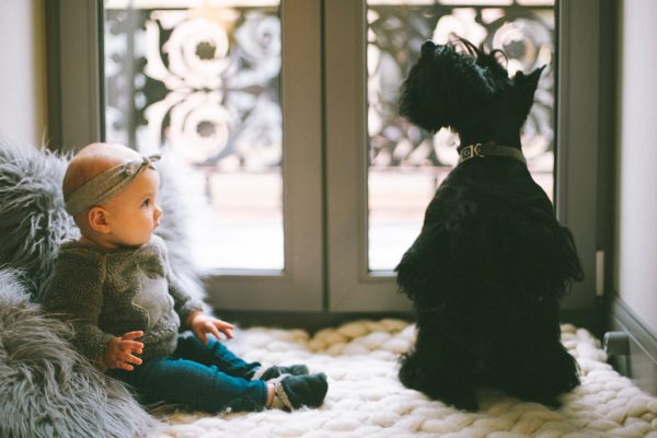 a baby and a dog