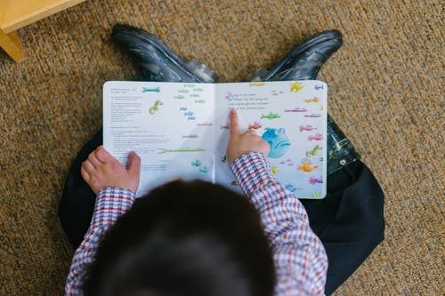 toddler reading a book