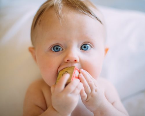 Blonde haired, blue eyed teething baby chewing on a wooden block during their teething phase.