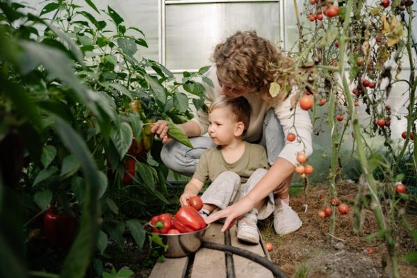 Mother and son picking tomatoes to represent making memories with your children