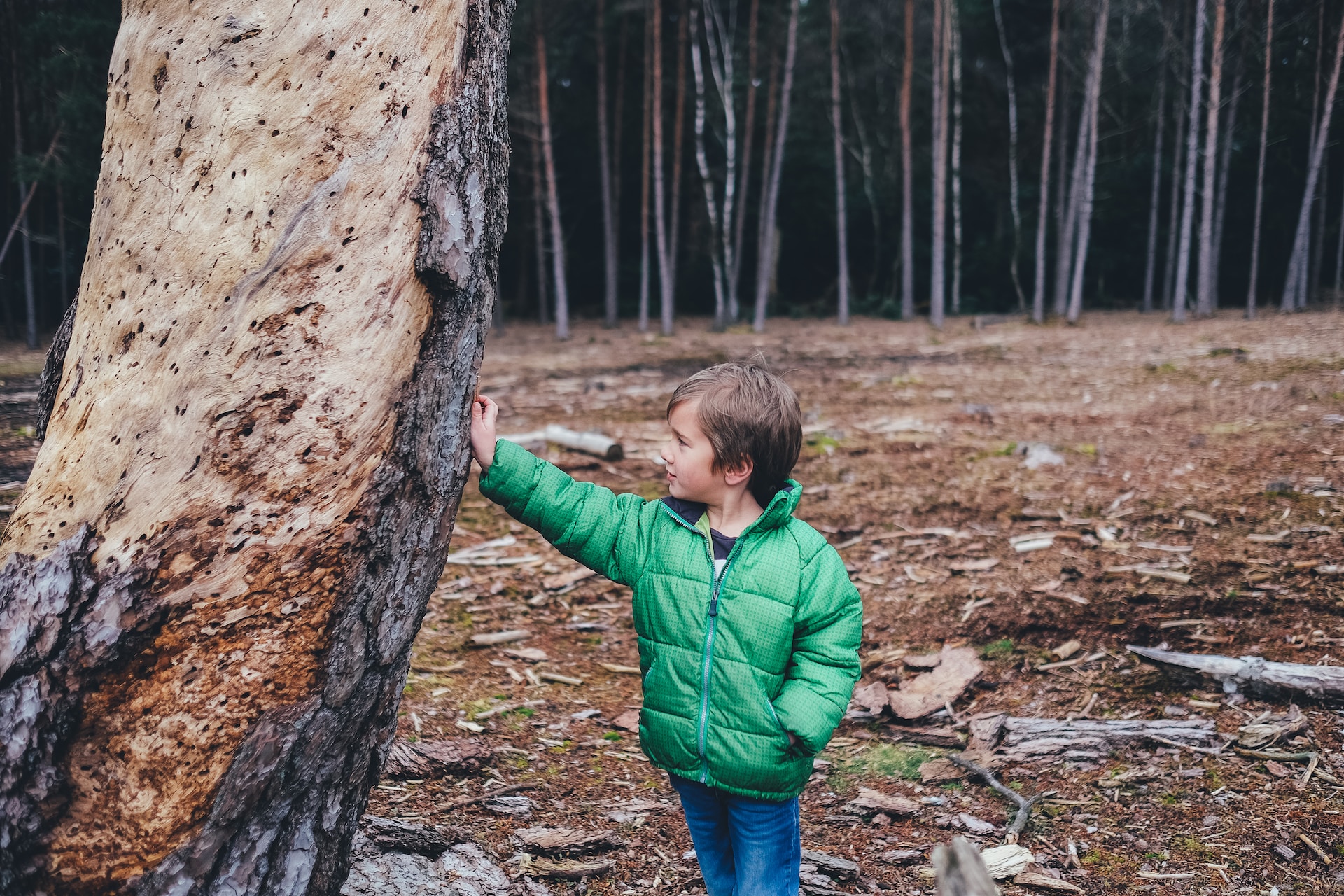 nature walk things to do with baby